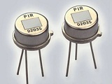 D203S늼t