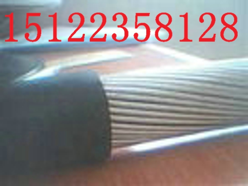rRVVP24x0.2Сܛо|r-S-