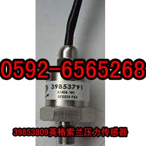 39875539