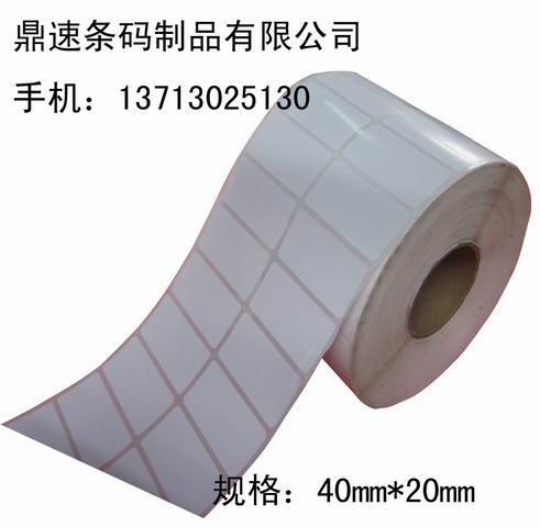 ӆ40X20հײz˺NlaӡSֱN