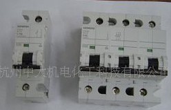ƷT С͔·5SP4250-7 50A 2P