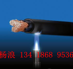 ȼ늾|TPU V0Fȼ늾|TPU