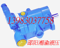 PVB6-LSW-41-CM-12/F(xin)؛
