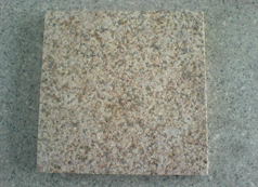 SP