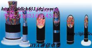 hya 20020.4 HYA 100*2*0.5 󌦔ͨ