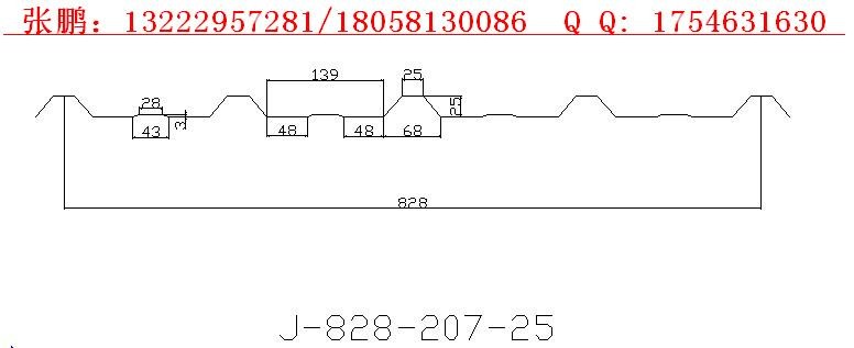 828-207-25Ͳɹ