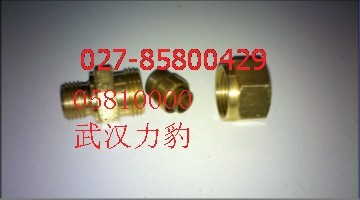 39155577ӢmsC(j)^