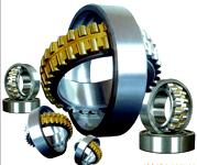 234406M.SPS234406M.SP(bio)(zhn)ߴ