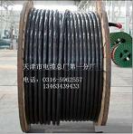 KVV22-24X1.5 A䓎zb| |r