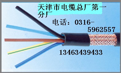늹ܛ~gTJR70mm² gr gS