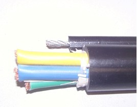 ͨ|500.5mm