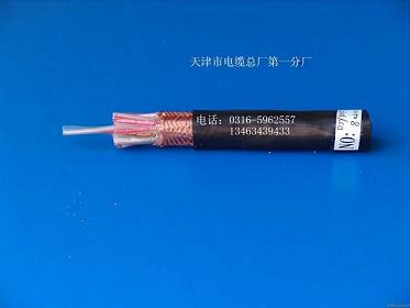 g| RVSP-2X0.5