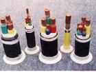 |VV VV22 YJV YJV22 /8*2.5/F؛