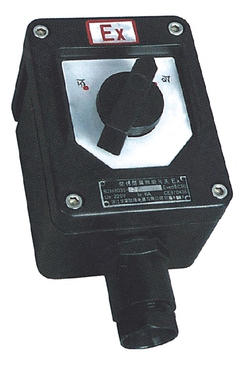 BF28030_P\ͷ_PaS