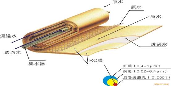 (zhun)I(y)B͸蹸