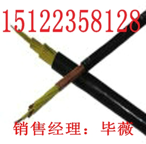 ZC-HYA23| ZC- HYAT23r(ji)/(bo)r(ji)