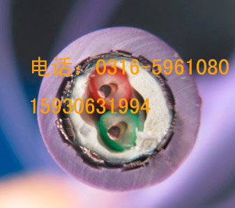 Tӿ|6XV1830 0EH10-Tӿ|6XV18