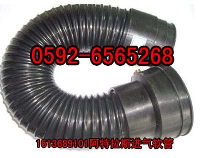 (yng)1614937600˹ܛ