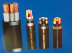ϩ͟ou|~늉450V/750V
