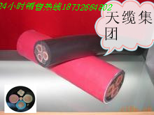 YHѾr(ji)-<YHѾ|SҎ(gu)(bo)r(ji)>