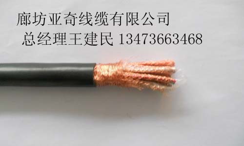 ZR-DJYPVRP2*2*1.0ȼνgӋC|