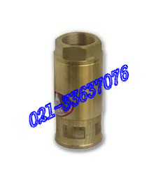 pTySNM-1