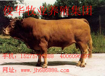 ͨ B(yng)ֳʲôӵţ/mϷNֲʲôӵ