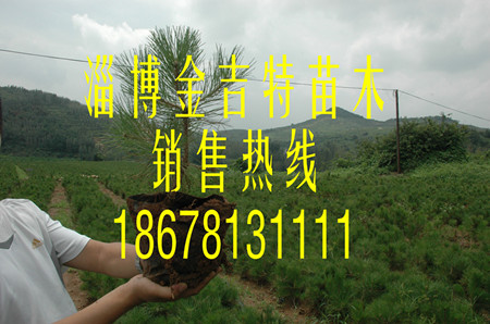 (yng)С磬30-40