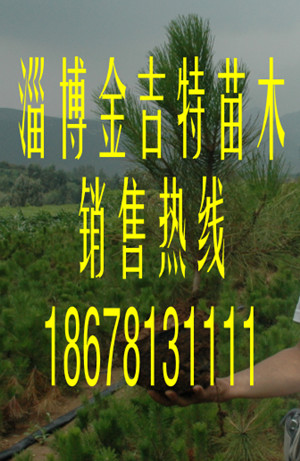 (yng)С磬60-80