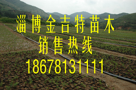 (yng)ɘ磬17-21IB(yng)С