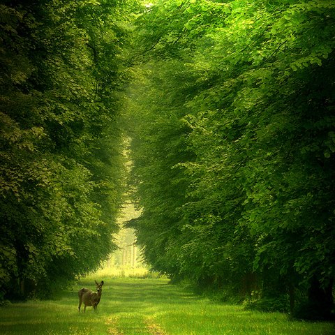 ĳҕ_挦V沿(lin)ϵʽ