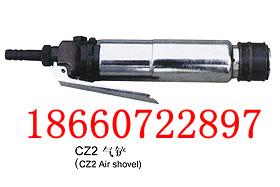 CZ2P