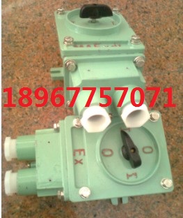 DQ_PBHZ51-25/3 25A IP54