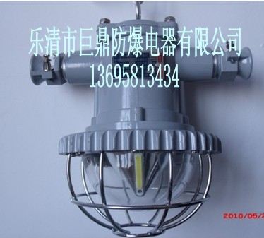 DGS12/127LVLED12W