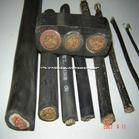 MC0.38/0.66KV,MC*0.38/0.66KV*3x50  