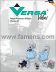 VERSA늴y