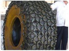 23.5-25݆̥o朣P܇݆̥o朣bdCo