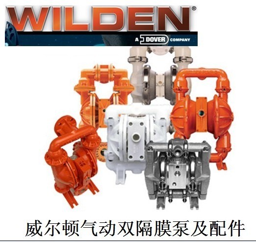 (yng)WILDENӸĤ WILDENӱ DĤ
