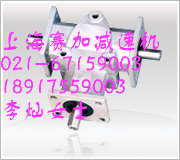 ARAʮ֓Q