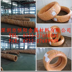 a(chn)SUS316P䓏ɾ