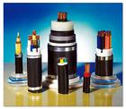 ZR-DJYPVPR 4X2X1.5 2*2*1.0 ӋC|