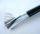 HYV22 40*2*0.5r ͨ|