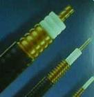 ߏоXWWj SֱN