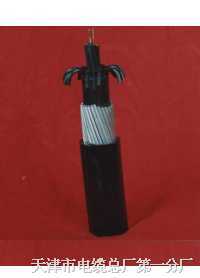 PZY03 4о *1.0 F·̖(ho)|