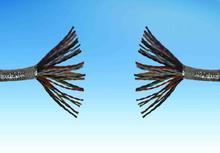 RS4851X2X24AWG|