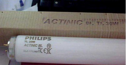 PHILIPS wTL20W/01RSխVUVB⾀