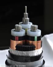 MYP-6KV߉ȼ|Ҏ(gu)3*70+1*25