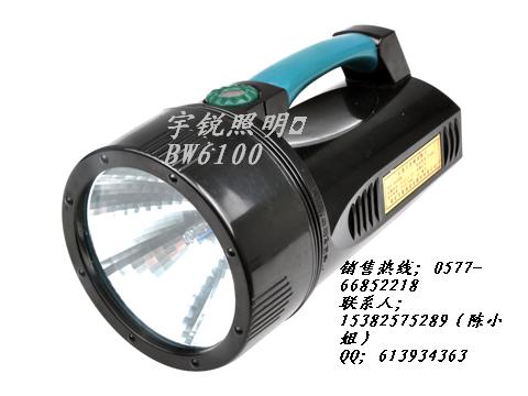 BW6100ʽ̽՟