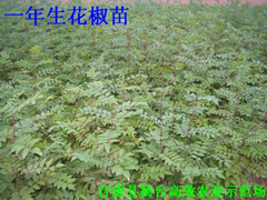ʯf绨(sh)100f(wn)