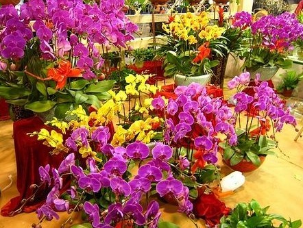 ʢ_(d)˾չ2012Ϻ܈@ˇ[(hu)